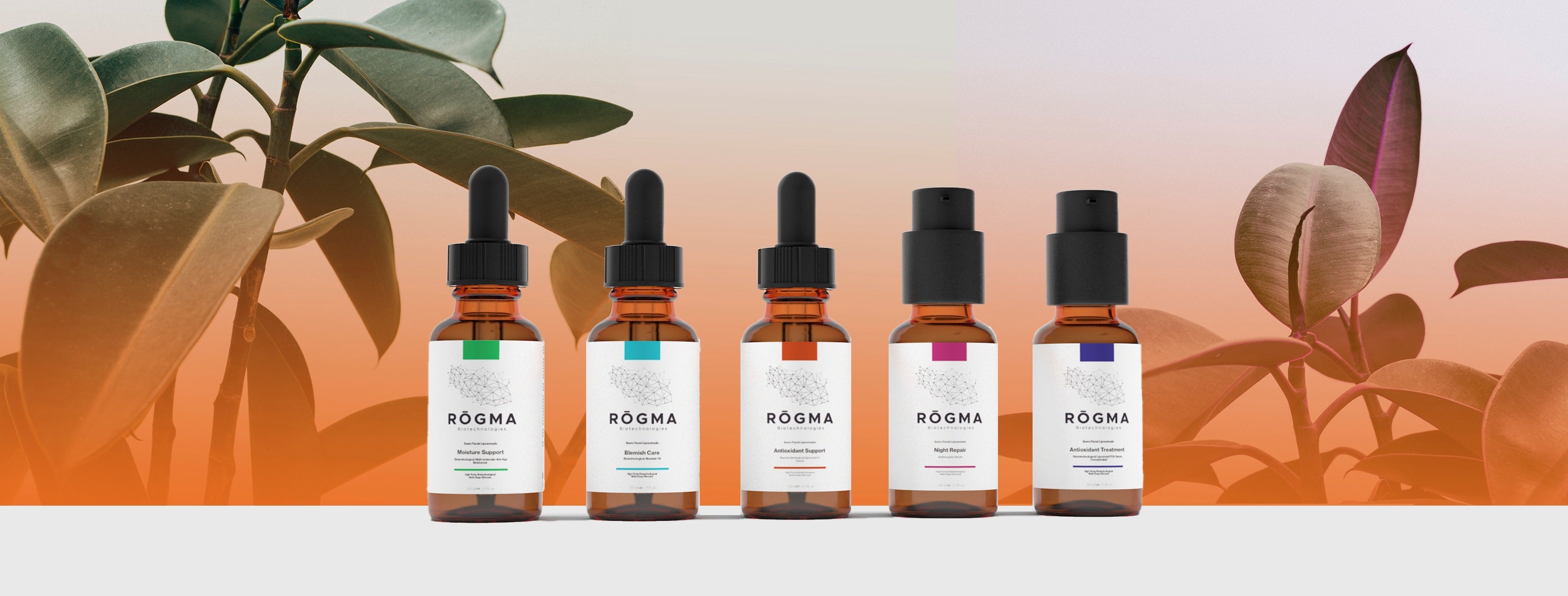 RŌGMA